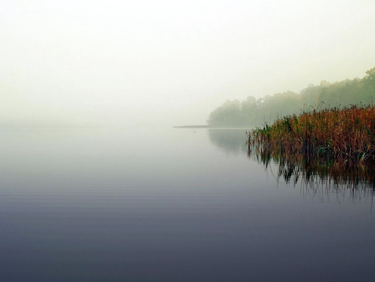 Pesca en la orilla del río